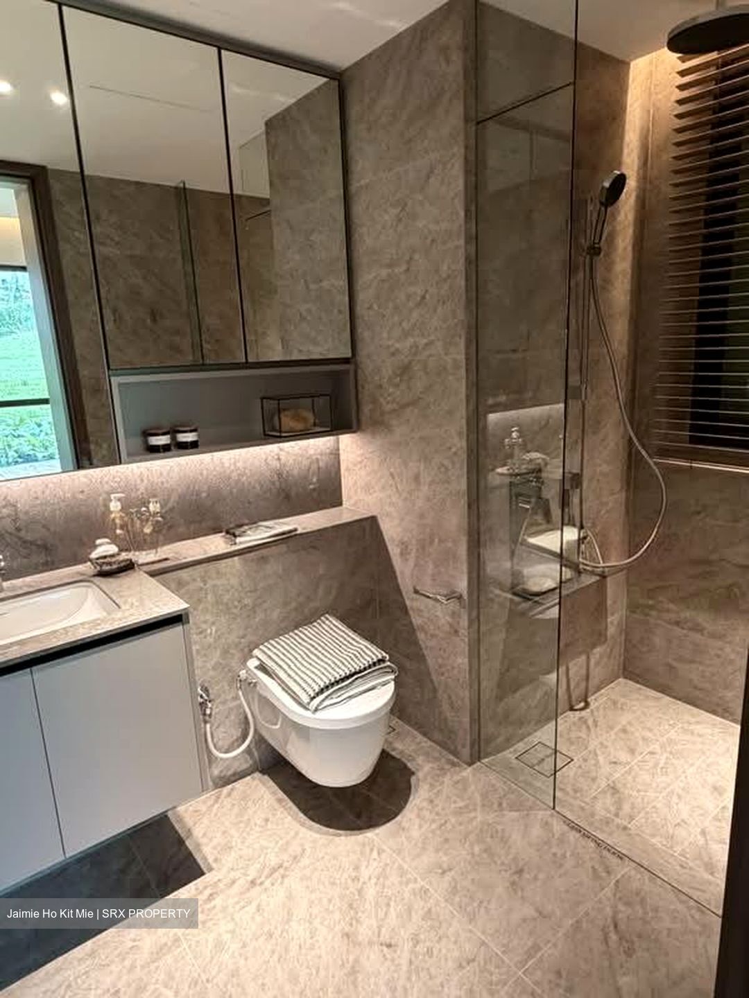 Dunearn Road (D11), Condominium #590609341